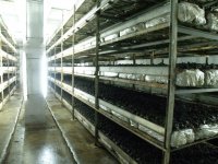 Продается теплица по выращиванию грибов 
