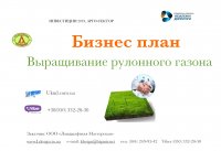 Выращивание рулонного газона: бизнес план